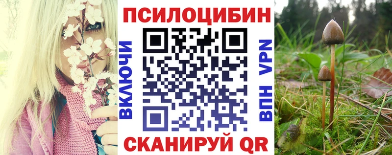 Псилоцибиновые грибы прущие грибы  Отрадный 