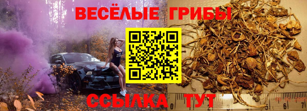 Псилоцибиновые грибы Psilocybe  Галлюциногенные грибы MAGIC MUSHROOMS  Вход с VPN  Отрадный 